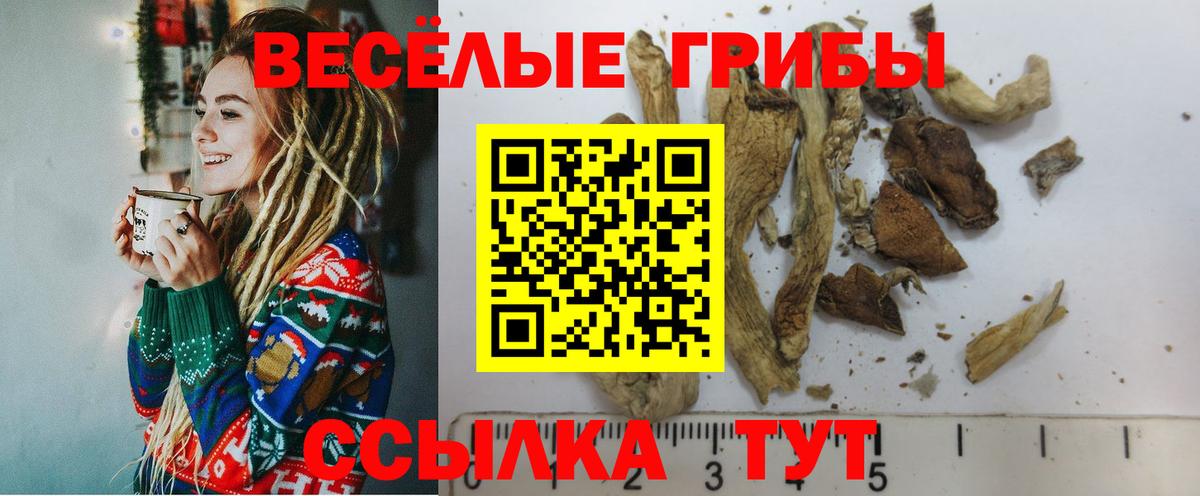 Галлюциногенные грибы мицелий Полевской